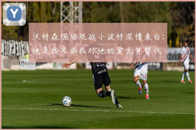 沃特森现场观战小波特深情表白：他是我兄弟我对他的爱无可替代