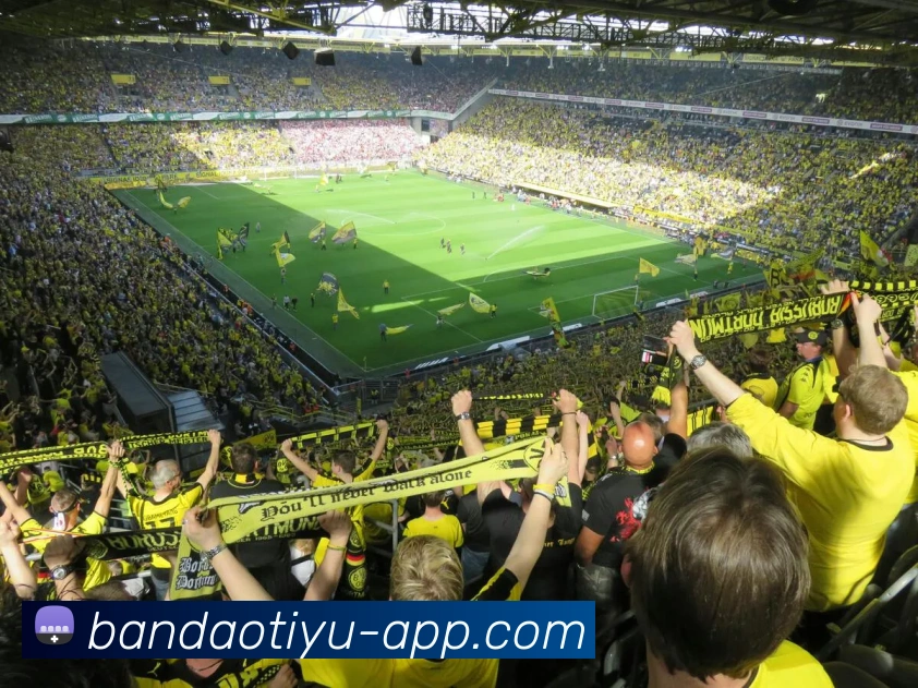 半岛体育品牌故事