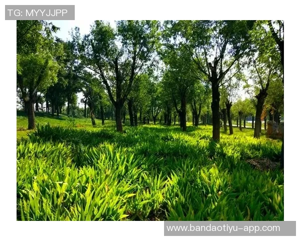 德科祝贺阿尔巴职业生涯圆满结束期待他未来的辉煌成就